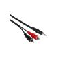 30456 Hama Connection Cable 2 RCA Stereo Jack Male / Male 5m (Accessory)