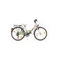 KS Cycling Children bicycle Children bicycle Papilio RH 36 cm, White, 24, 857B (equipment)