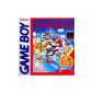 Super Mario Land (Video Game)