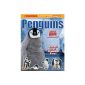 Scholastic Discover More: Penguins Sticker Book (Paperback)