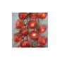 Red rose fairy light string with 20 flowers and lights 3m long