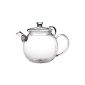 Teaposy quality teapot 
