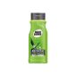 Right Guard Refresh Shower Gel 5, 3 Pack (3 x 250 ml) (Health and Beauty)
