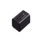 Sony NP-FV70 camcorder battery Li-Ion (Accessories)