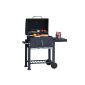 Tepro 1061 charcoal grill 