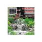 NEW!  SOLAR pond pump garden fountain OASIS 250-1 performance-optimized solar fountain pond pump 2.5 watts max.  250L / h max.  0.9m-Fontaenenhoehe for garden pond Solar Fountain Fountain with sturdy aluminum frame with instant-start system!