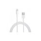 myTech® [Apple MFI Certificate] iPhone Lightning cable 8 pin to USB cable / charger cable / data cable for Apple iPhone 6/6 Plus / 5s / 5c / 5, iPad Air / iPad Air 2 / iPad mini / iPad Mini 2, iPad 4, iPod touch 5G, iPod nano 7G, 1 meter - White (Electronics)