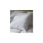 Absolute Comfort Pillow Feeling Revance, flat 60 x 60 cm