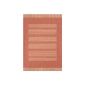 Lalee 347080069 carpet / sisal Optics / Flat / kitchen / pattern: stripes / Orange Terra / Size: 120 x 170 cm (household goods)
