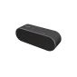Sony SRS-X2 NFC and Bluetooth Speaker, Black (Electronics)