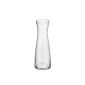 WMF 6017709990 replacement for Water Carafe 1L (Household Goods)