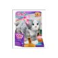 Hasbro FurReal Friends 93968148 running kitten - type number: Bootsie gray / w.  A4088 Kitten (Toys)