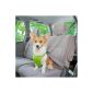 EnGive dog car seat safety harness seat belt (Green, S)