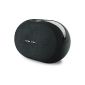 Harman Kardon Omni 20 Multiroom Bluetooth Wireless Speaker Black (Electronics)