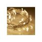 Garland Light Indoor 40 LED White Hot on cable Transparent (Kitchen)