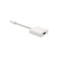 qCable Mini DisplayPort to HDMI adapter for video and audio transmission white (Personal Computers)