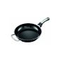 Tips pan.  Very robust and energy efficient.