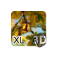 Autumn Leaves in HD 3D Gyro XL (App)