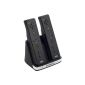 Dual Dock 2-in-1 Power System for Wii Remotes + 1 power cable + 2 batteries (Accessory)
