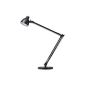 LED Table Lamp LED Valencia (Office supplies & stationery)