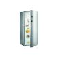 Gorenje RB6152BX cooling-freezer / A ++ / refrigerator compartment: 255 L / freezer: 26 L / Inox Finger Touch Free / Quick Cooling function / Large fruit and vegetable container (Misc.)