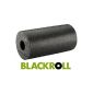 Blackroll Blackroll STANDARD 30cm (equipment)