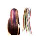 Feather Hair Extension Set FACILLA® Fiber + 18 Colors Rings Microring (Health and Beauty)