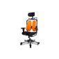 ncoh have never had such a comfortable desk chair - need nothing else more