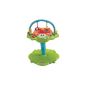 Fisher Price - R2159 - Trotter - Area of ​​activity 360Â ° - Jumperoo Frog (Baby Care)