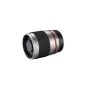 Walimex Pro 300mm 1: 6.3 CSC-telephoto lens (mirror telephoto lens filter thread 25.5mm) for Sony E lens mount silver (Accessories)