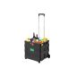 Shopping Trolley - 35kg load capacity - foldable - Two smooth-running wheels - volume 43 liters