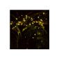 Winstech Solar Lights Interior and Exterior 100 LED Yellow