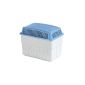 WENKO 5410010100 moisture Killer 1 kg - moisture absorber, plastic - polypropylene, 24 x 16 x 15 cm, White (Kitchen)