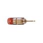 Oehlbach Solution Banana Banana Flex Flex connector for loudspeakers Gold (Accessories)