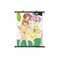 Yuruyuri Anime Fabric Wall Scroll Poster (32 