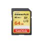 SanDisk Extreme SDXC Plus 64GB Class 10 memory card (UHS-I, 80MB / Sec) (Personal Computers)