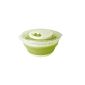 Emsa 2029451 Basic Salad Spinner 4.0L (Kitchen)