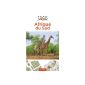 See South Africa Guide (Hardcover)