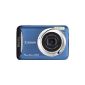 Canon PowerShot A495 Digital Camera (10 Megapixel, 3x opt. Zoom, 6.2 cm (2.5 inch) display) Blue (Electronics)