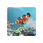 aniPet Marine Aquarium Live Wallpaper (App)