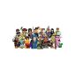 Lego Series 12 Complete set of 16 figures (toys)