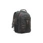 Wenger Carbon Backpack for Mac 17 '' Black (Personal Computers)