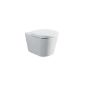 Wall washdown WC TONIC white Ideal Plus (Misc.)