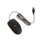 AmazonBasics USB mouse with three buttons (Black) (Personal Computers)