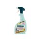 Disinfectant kitchen Sanytol - sprayer 500 ml