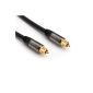 Cable Direct 2m TOSLINK optical digital - Cable (TOSLINK - TOSLINK) - PRO Series (Accessories)