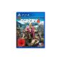 Far Cry 4 - Standard Edition [Playstation 4] (Video Game)