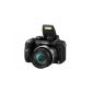 Panasonic Lumix DMC-FZ45EG-K Digital Camera (14 Megapixel, 24x opt. Zoom, 7.5 cm (3 inch) display, image stabilizer) (Electronics)