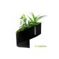 Modul'Green - Pot plants for wall design - Indoor / Outdoor - Black