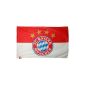 FC Bayern München + eyelets Service Pflüger - 4250517116886 - FCB flag logo flag 100 x 150 cm with eyelets Memorabilia Football Gift Idea